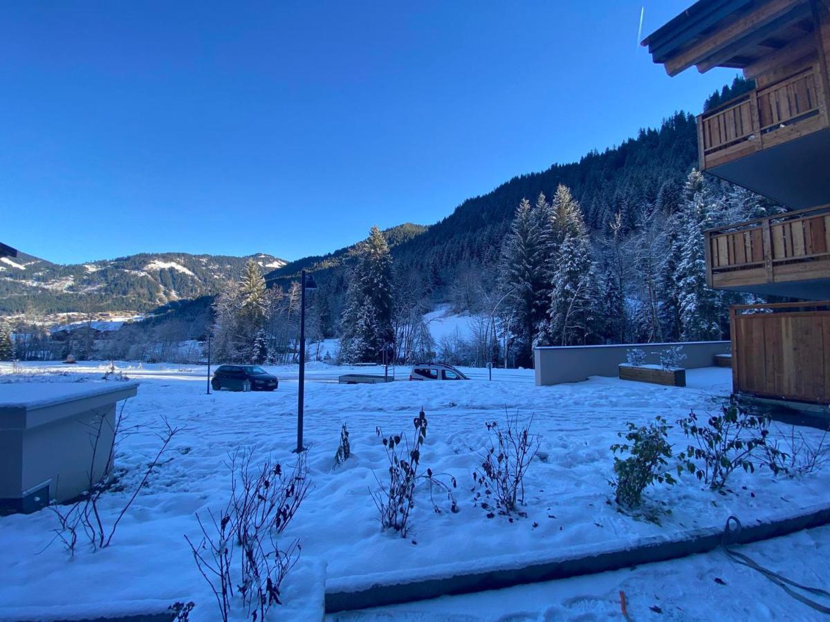 Lumineux Et Spacieux Appartement Contemporain Dans Une Residence Recente Et Paisible A Chatel - Fr-1-693-48 Dış mekan fotoğraf